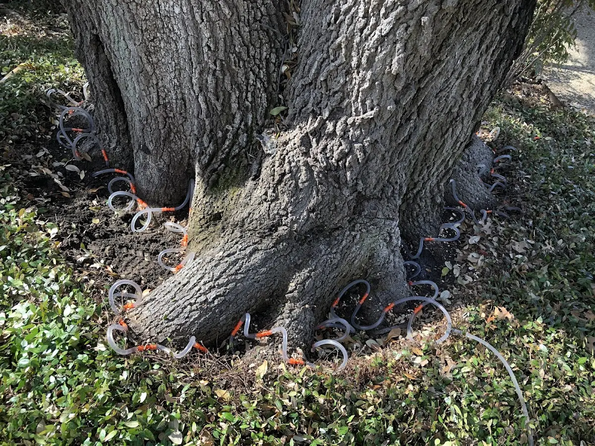 Detailed Shrub and Hedge Trimming job site in Ida