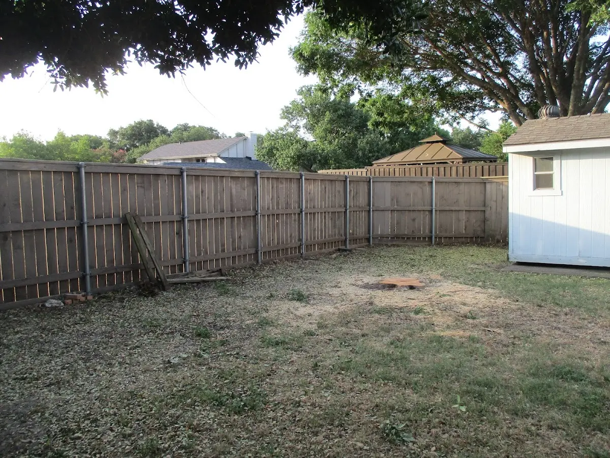 Cleared yard after professional tree removal in Ida