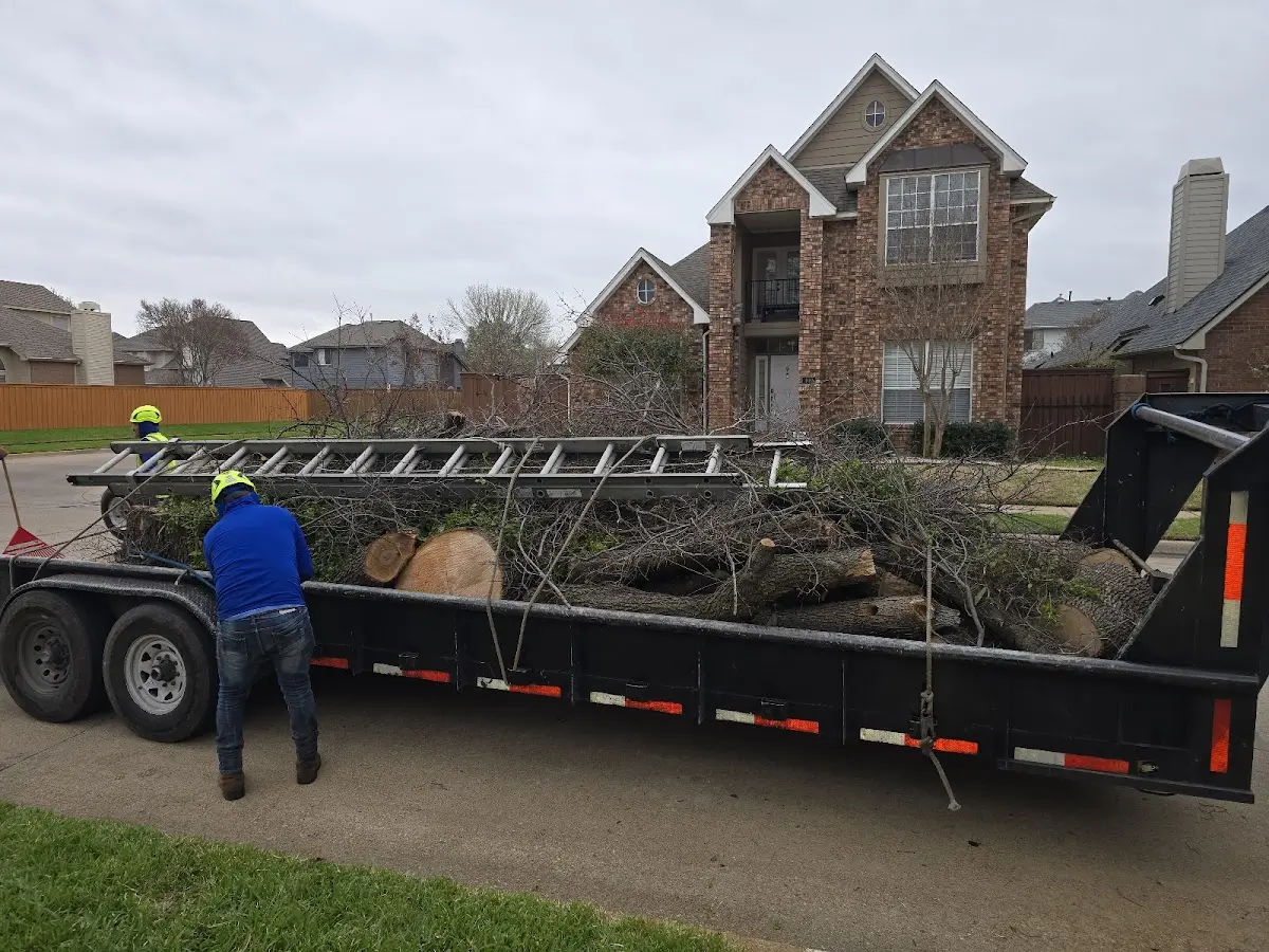 Expert Lot Clearing with proper safety equipment in Ida
